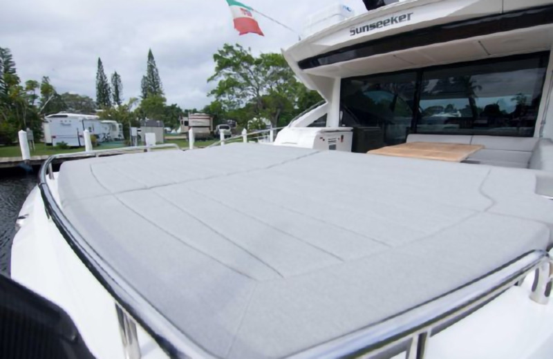 PREDATOR 2018 68' 0" SUNSEEKER