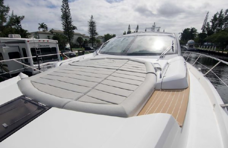 PREDATOR 2018 68' 0" SUNSEEKER