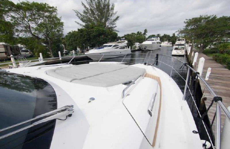 PREDATOR 2018 68' 0" SUNSEEKER