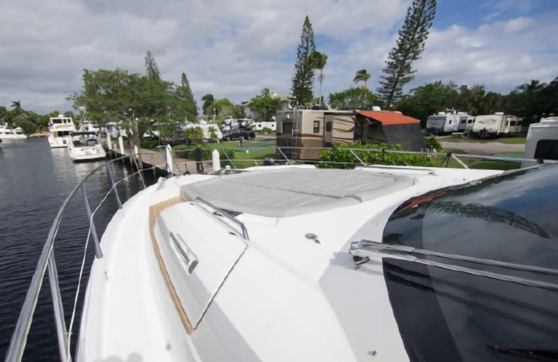 PREDATOR 2018 68' 0" SUNSEEKER