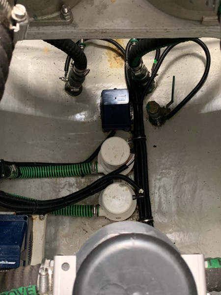 PREDATOR 2017 68' 0" SUNSEEKER