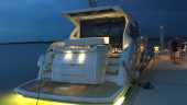 PREDATOR 50 2019 50' 0" SUNSEEKER
